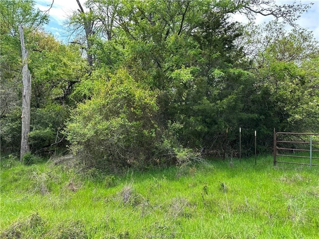 2 acres in Robertson County gallery image 2