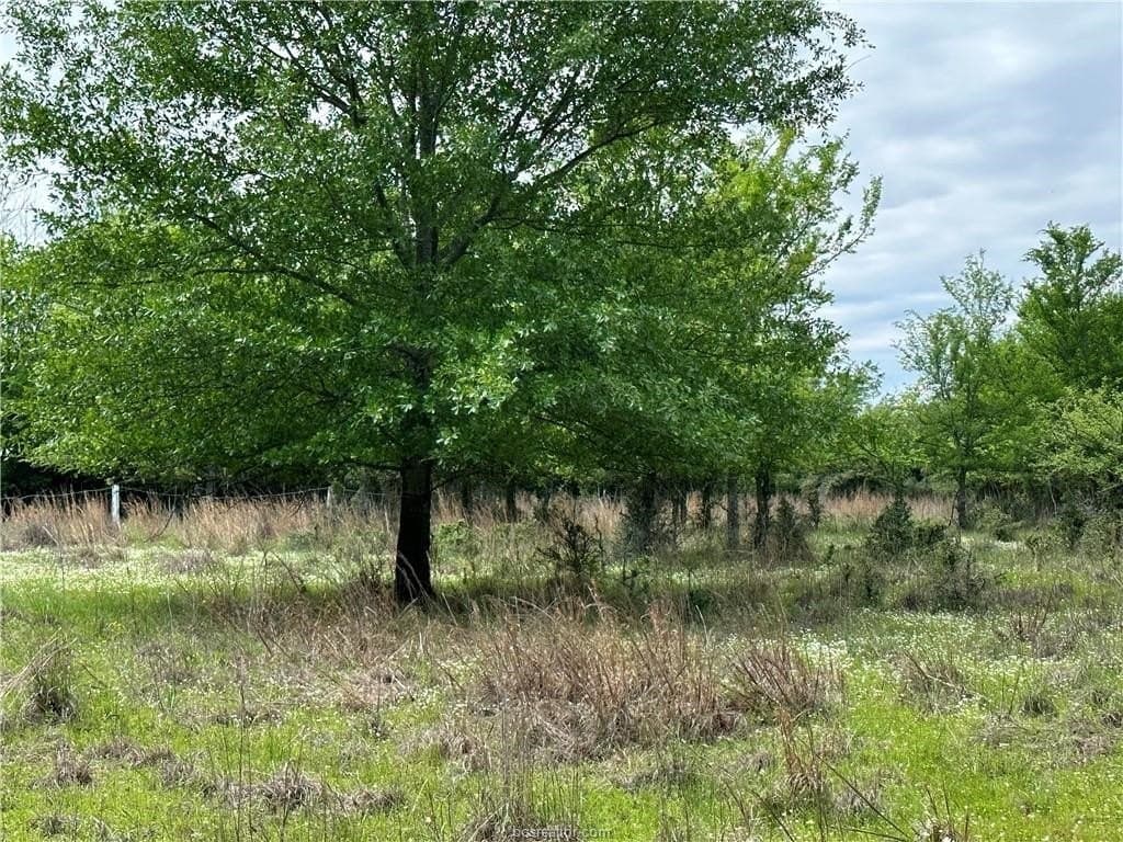 2 acres in Robertson County - photo 6