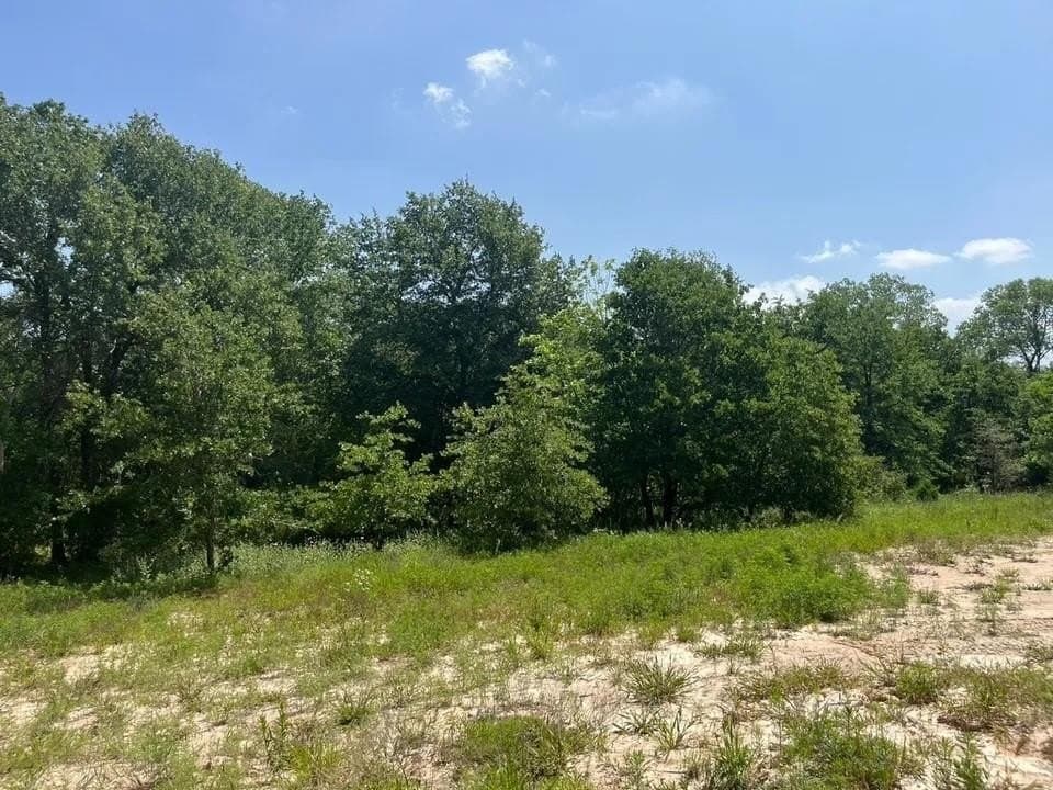 2.43 acres in Parker County gallery image 2