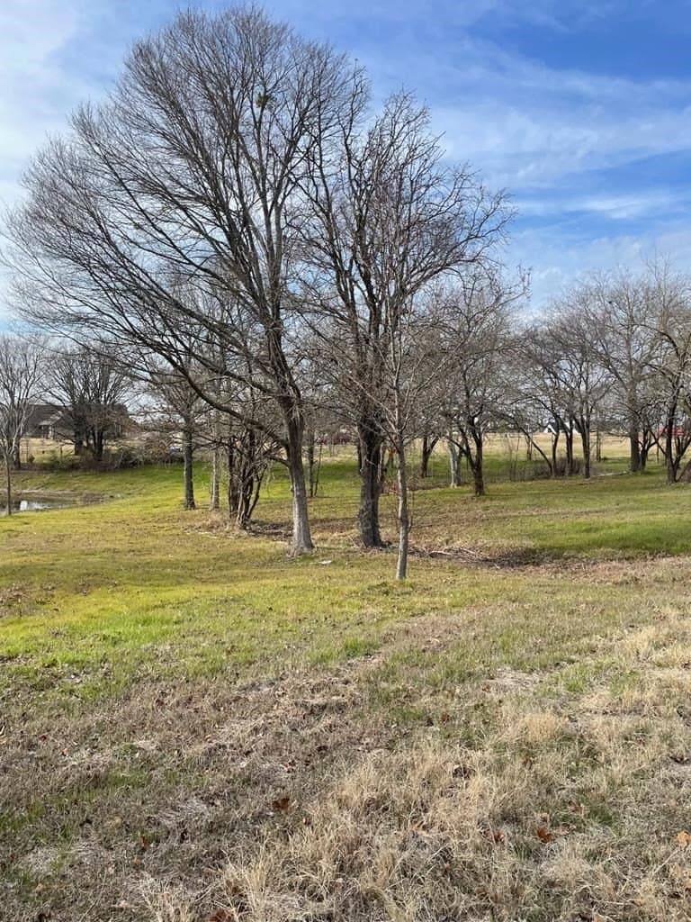2.53 acres in Henderson County - photo 12