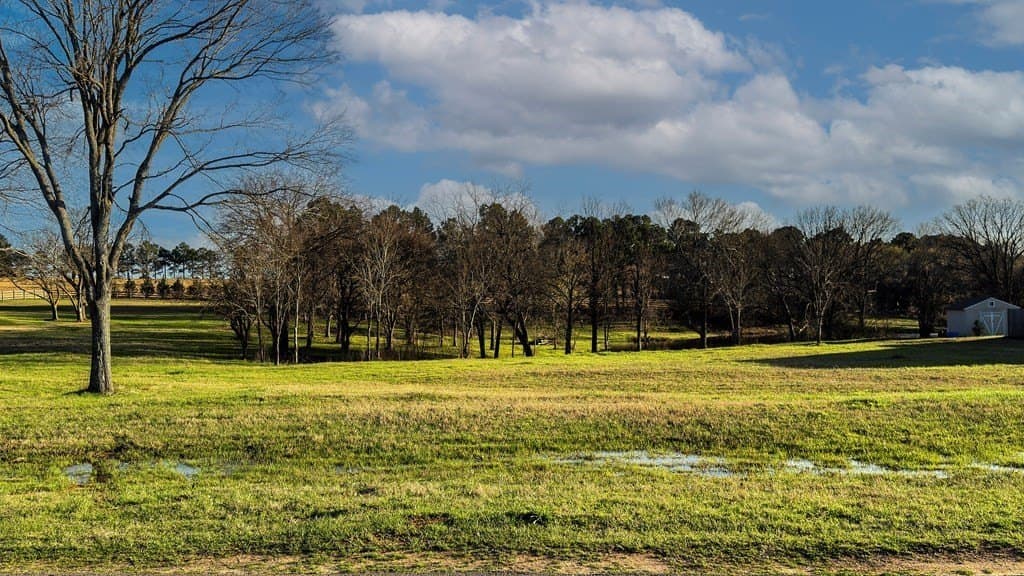 2.53 acres in Henderson County - photo 6