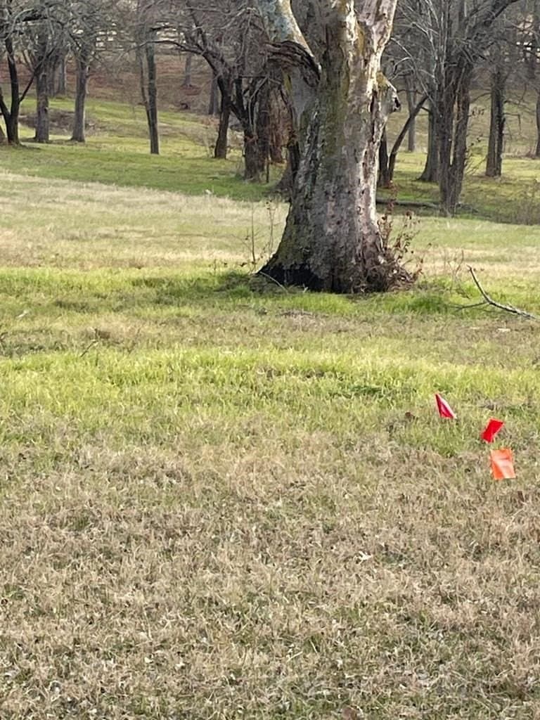2.53 acres in Henderson County - photo 14