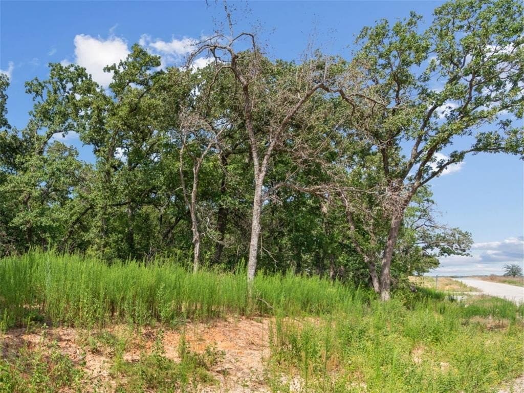 2.1 acres in Parker County gallery image 3