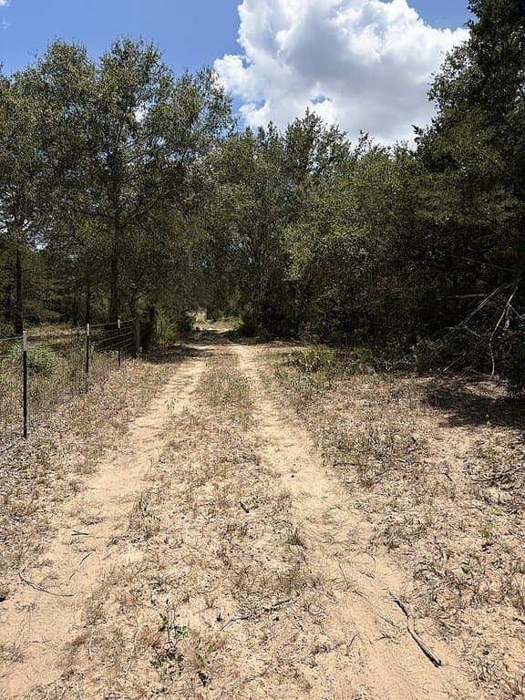 26.9 acres in Lavaca County - photo 26