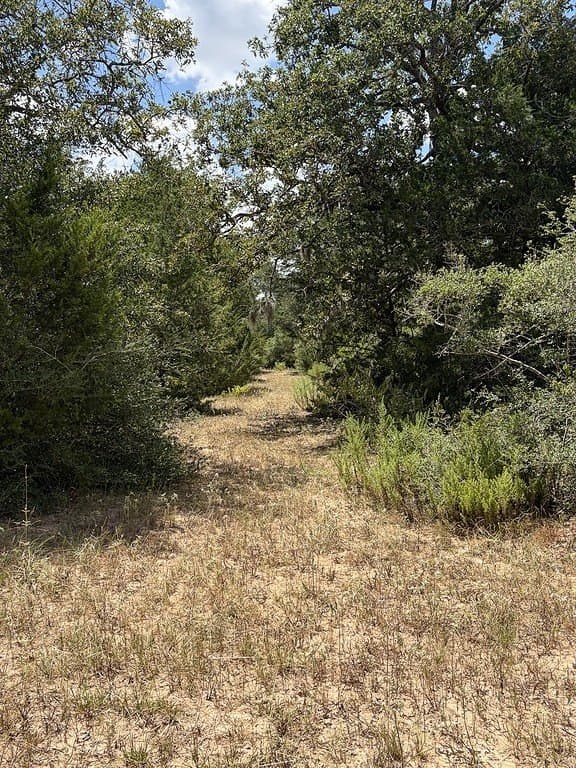 26.9 acres in Lavaca County - photo 13
