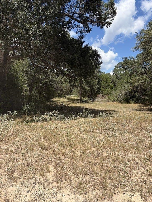26.9 acres in Lavaca County - photo 20