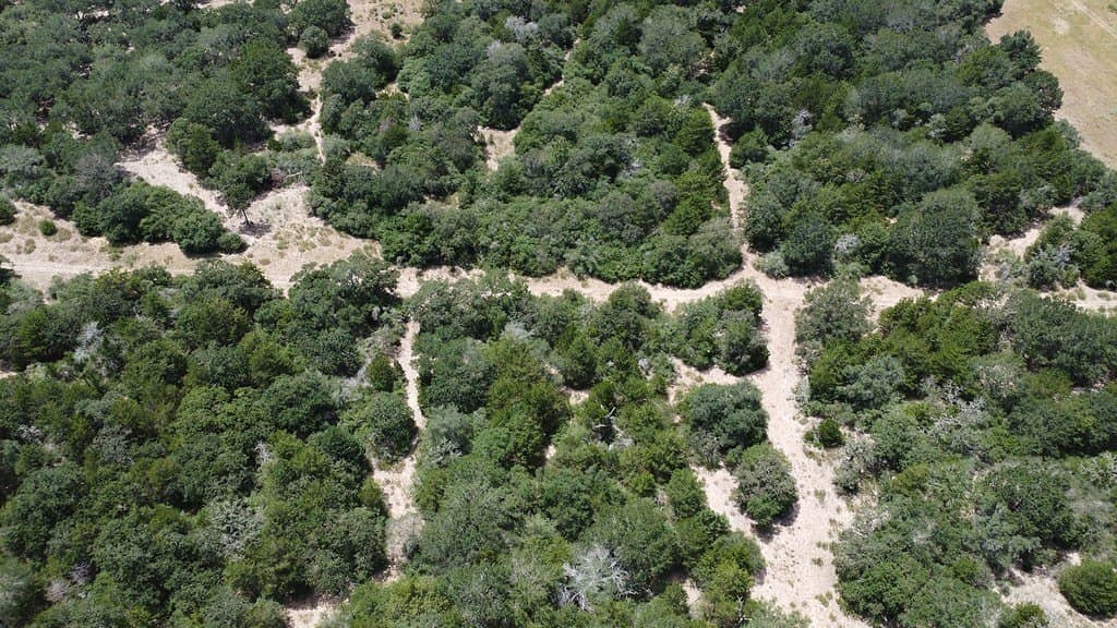 26.9 acres in Lavaca County - photo 9