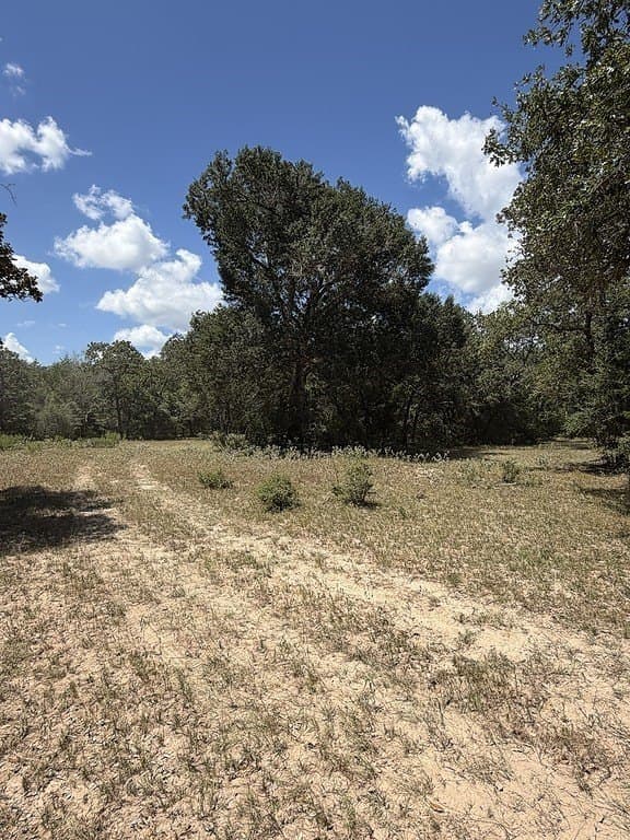 26.9 acres in Lavaca County - photo 21