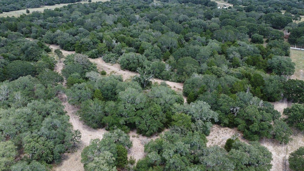 26.9 acres in Lavaca County - photo 3