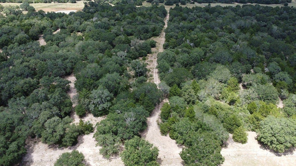 26.9 acres in Lavaca County - photo 11