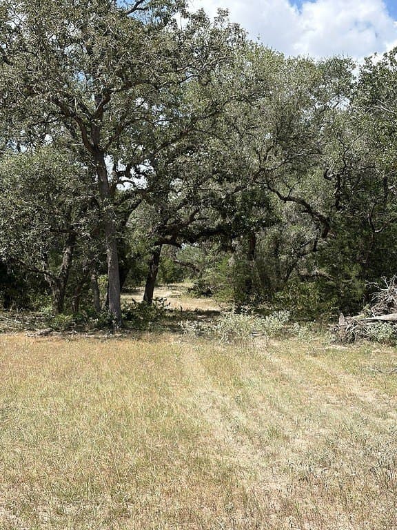 26.9 acres in Lavaca County - photo 18