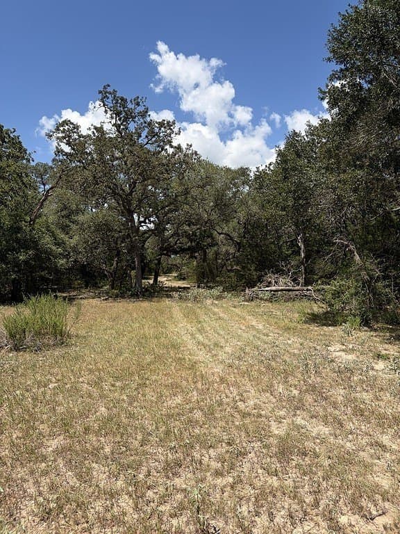26.9 acres in Lavaca County - photo 19
