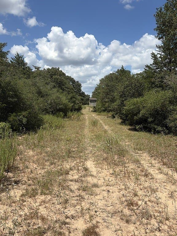 26.9 acres in Lavaca County - photo 15