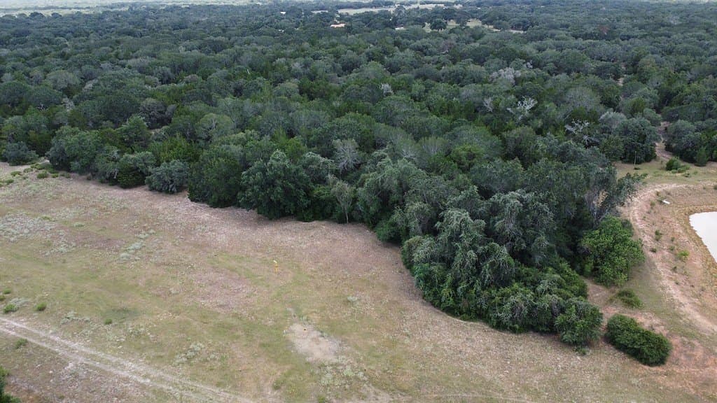 26.9 acres in Lavaca County - photo 7