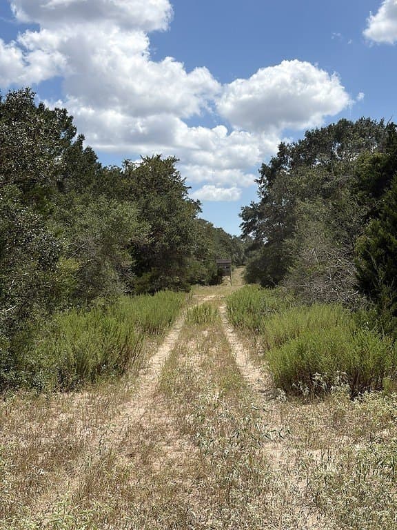 26.9 acres in Lavaca County - photo 12