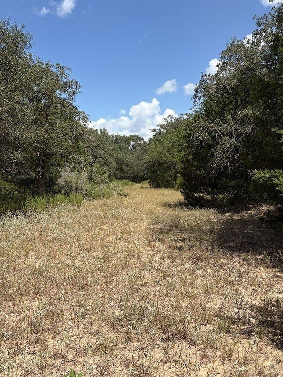26.9 acres in Lavaca County - photo 14