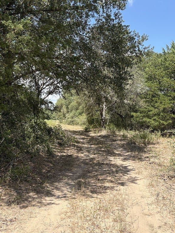 26.9 acres in Lavaca County - photo 16