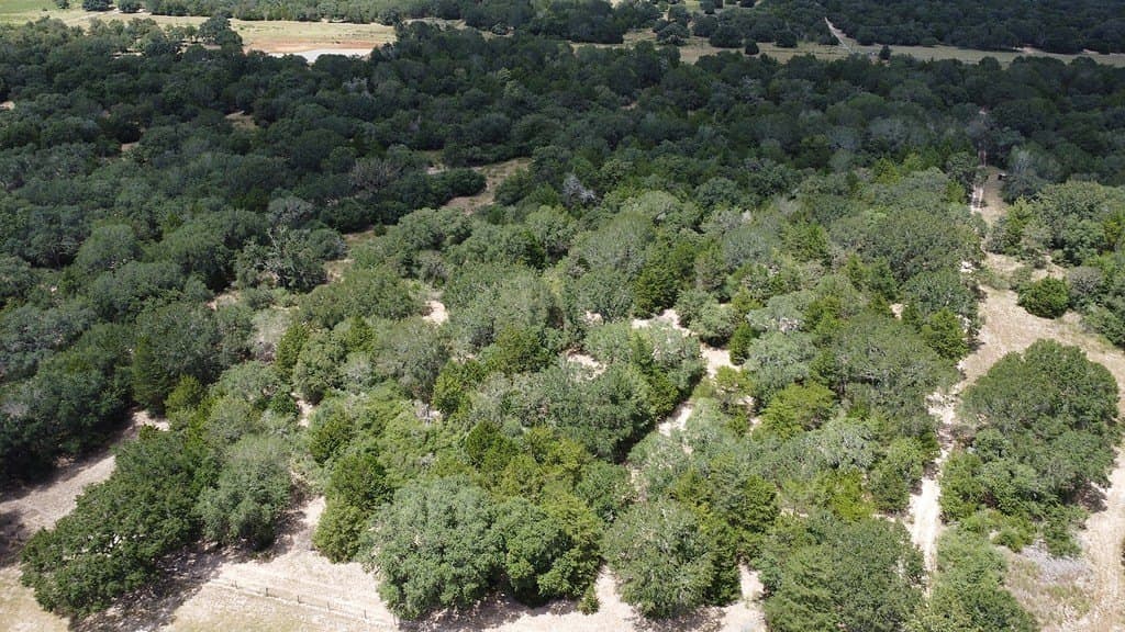 26.9 acres in Lavaca County - photo 30
