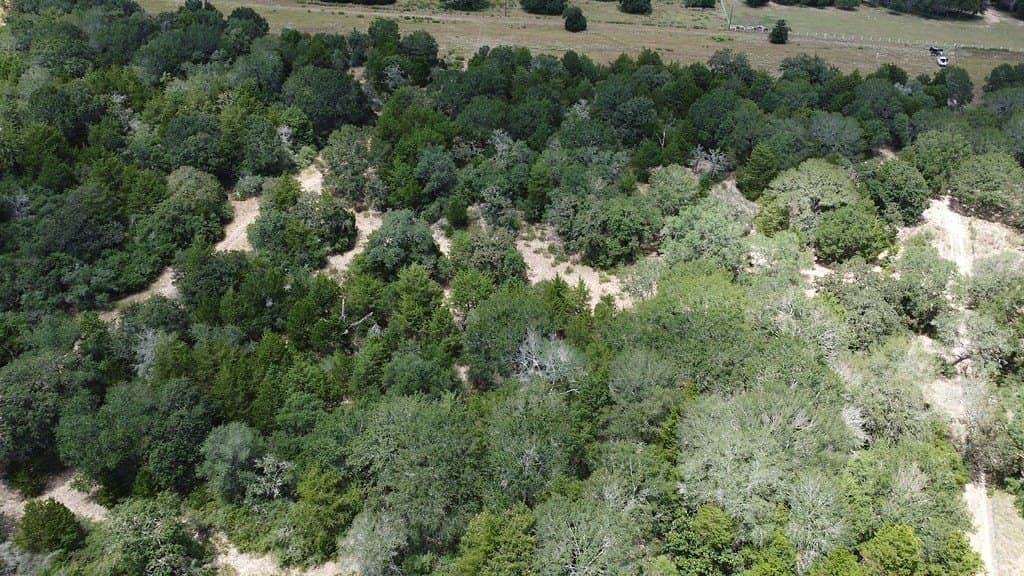26.9 acres in Lavaca County - photo 28