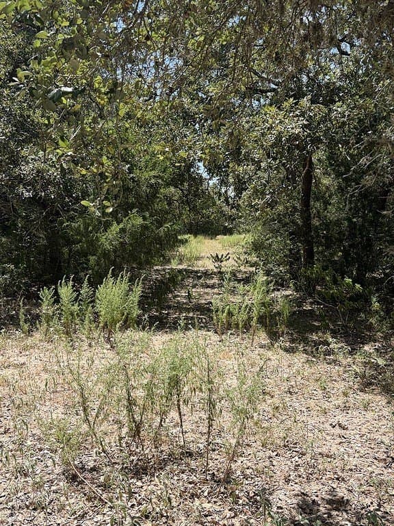 26.9 acres in Lavaca County - photo 24