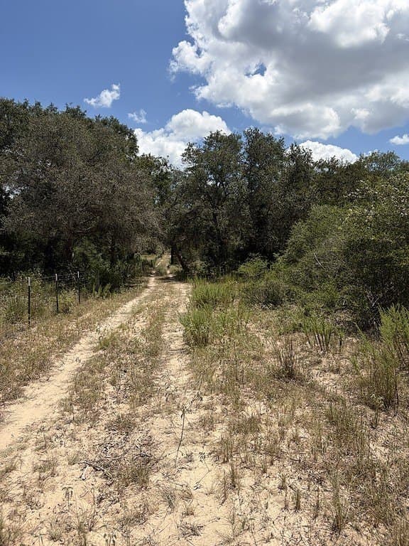 26.9 acres in Lavaca County - photo 25