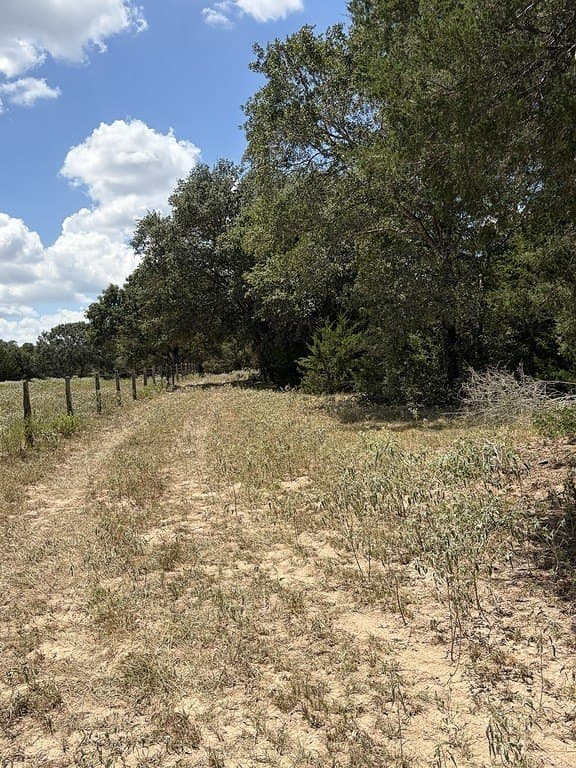 26.9 acres in Lavaca County - photo 23