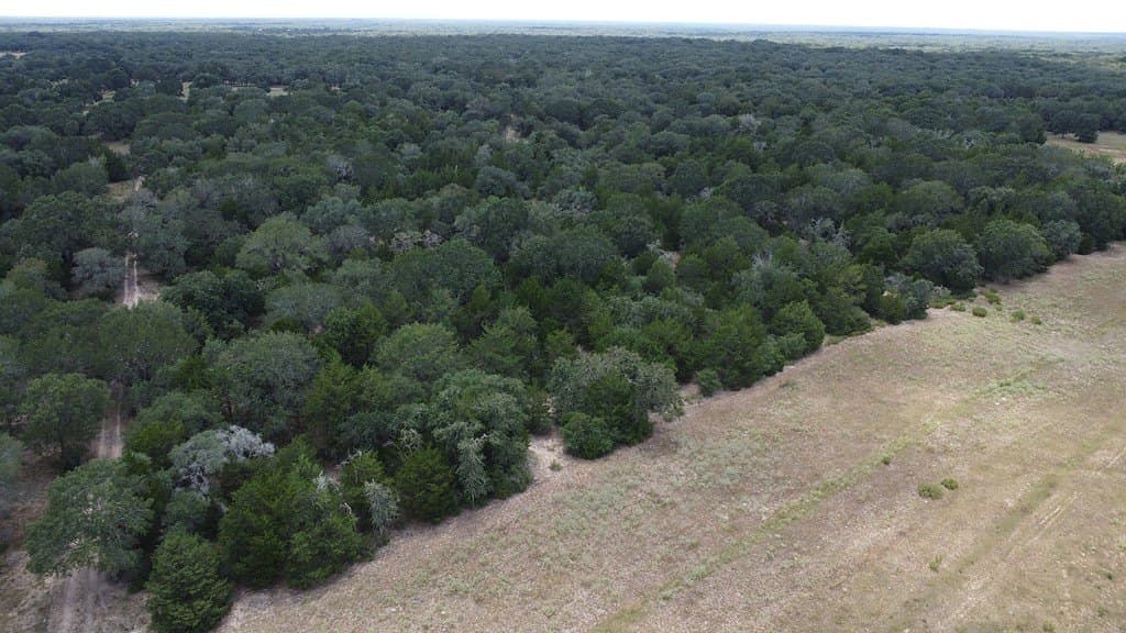 26.9 acres in Lavaca County - photo 10