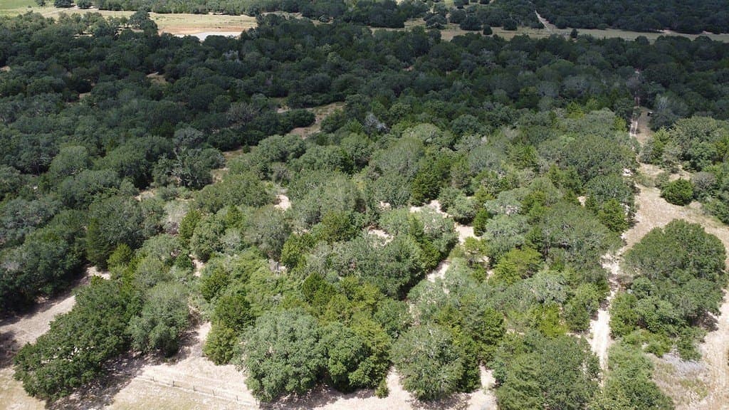 26.9 acres in Lavaca County - photo 4