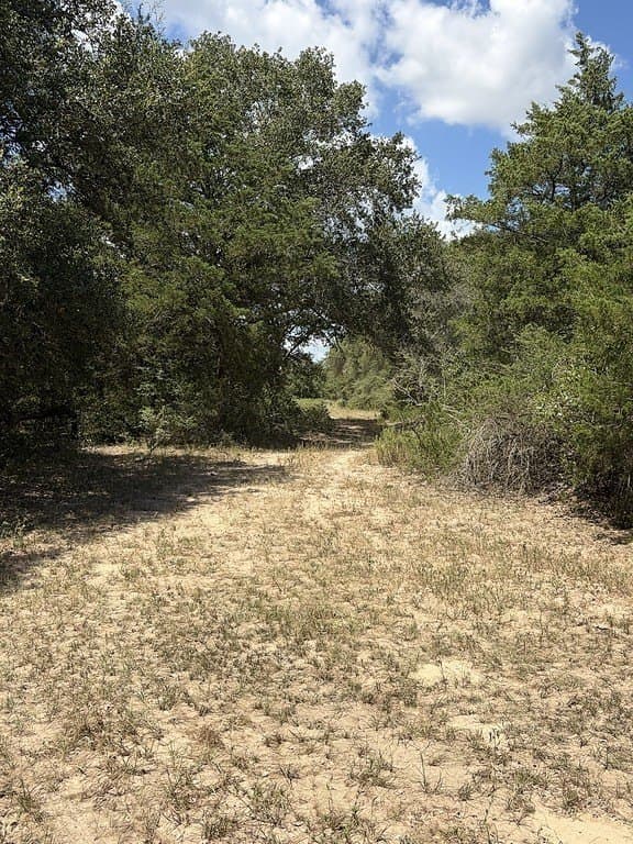 26.9 acres in Lavaca County - photo 22