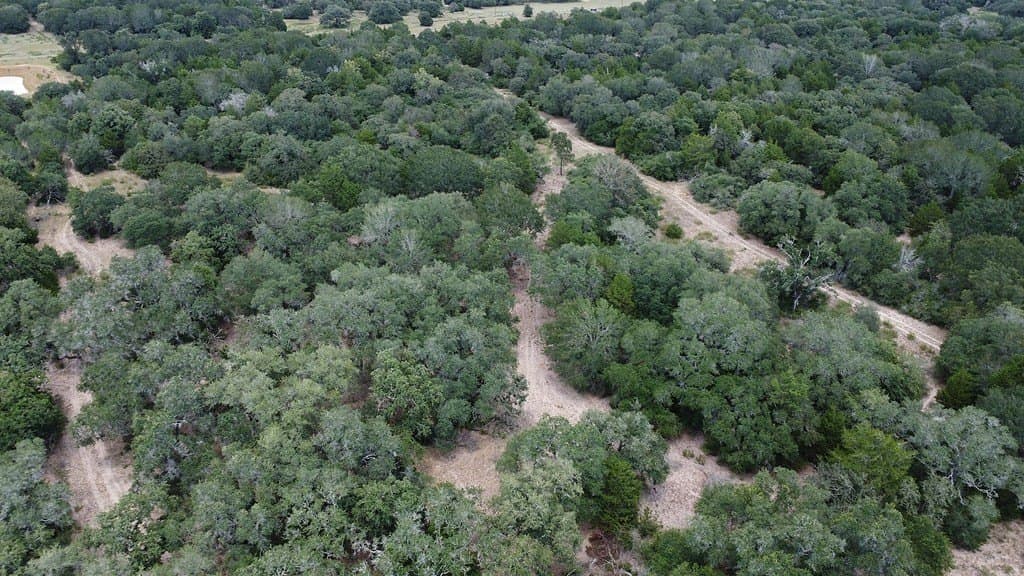 26.9 acres in Lavaca County - photo 5