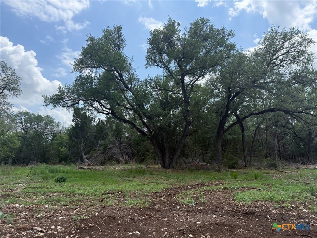 1.51 acres in Bell County featured view