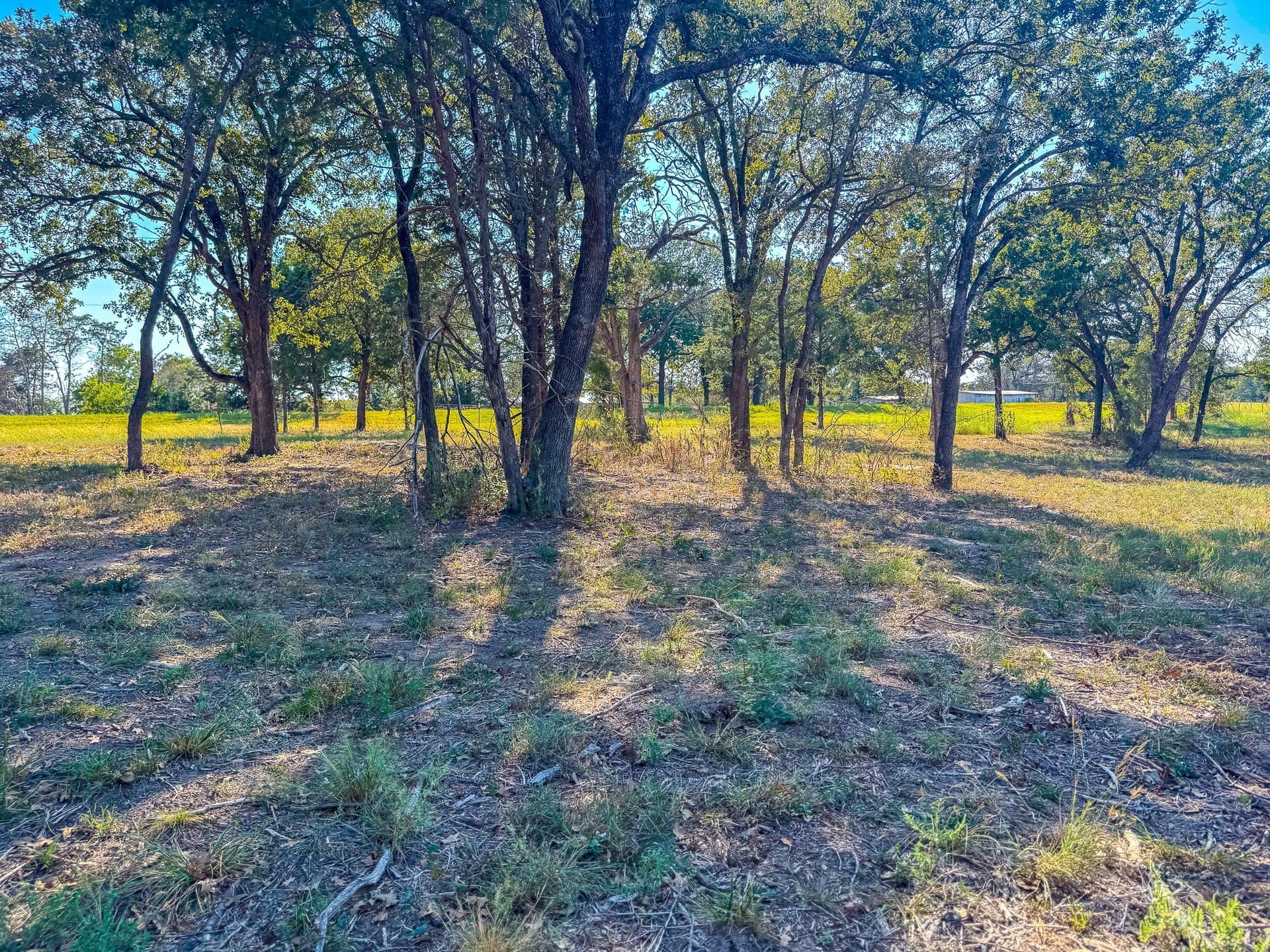 1.21 acres in Navarro County - photo 11