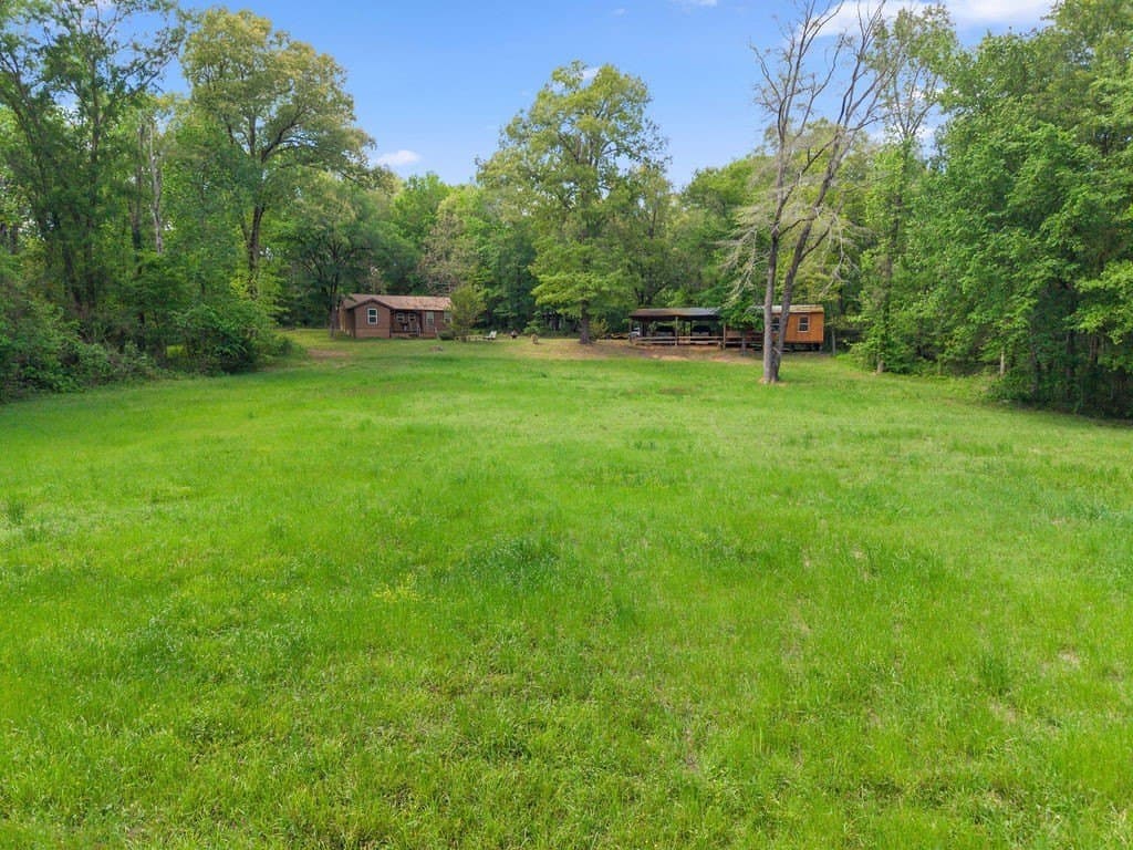 20 acres in Van Zandt County gallery image 4