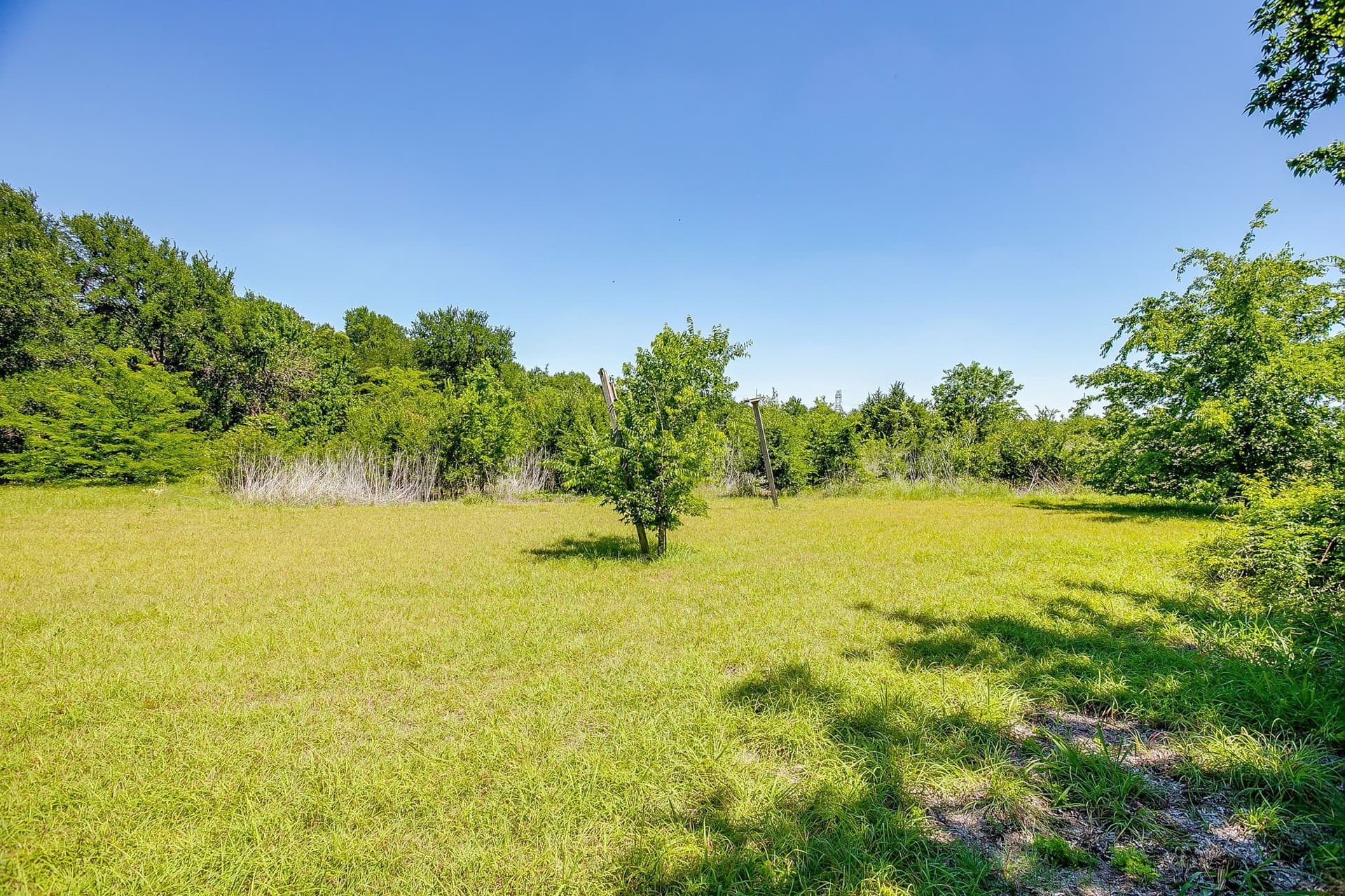 14.31 acres in Rockwall County - photo 38