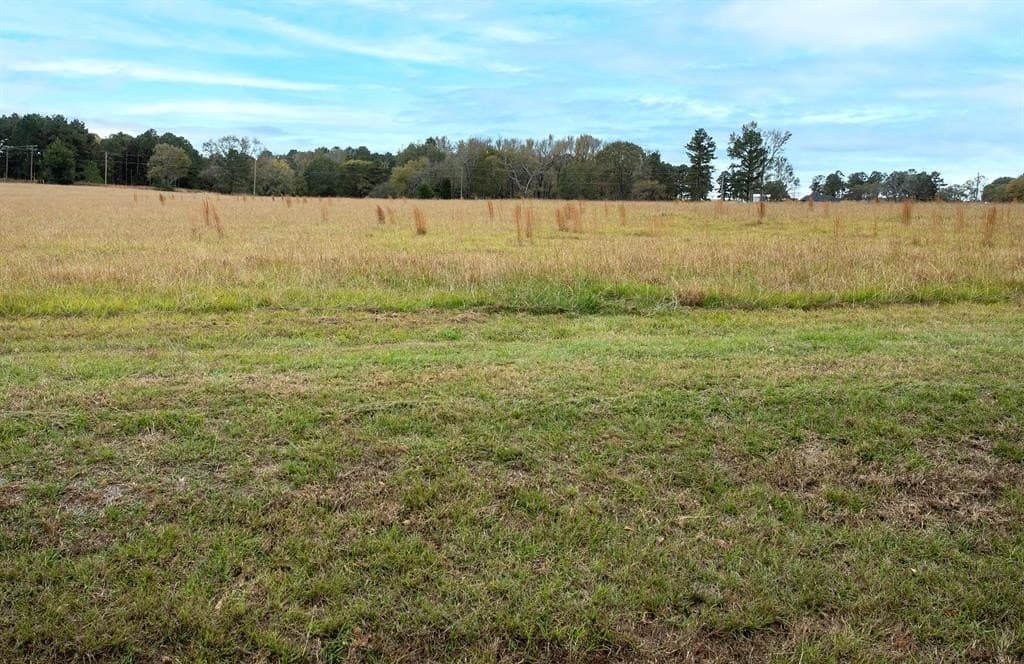 1.41 acres in Anderson County gallery image 3