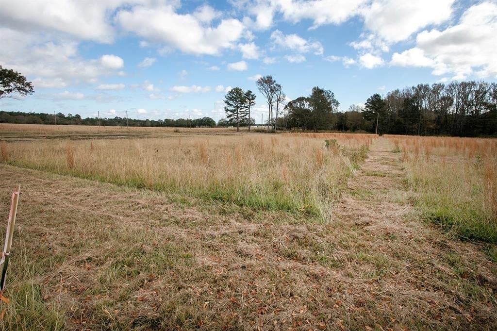 1.41 acres in Anderson County featured view