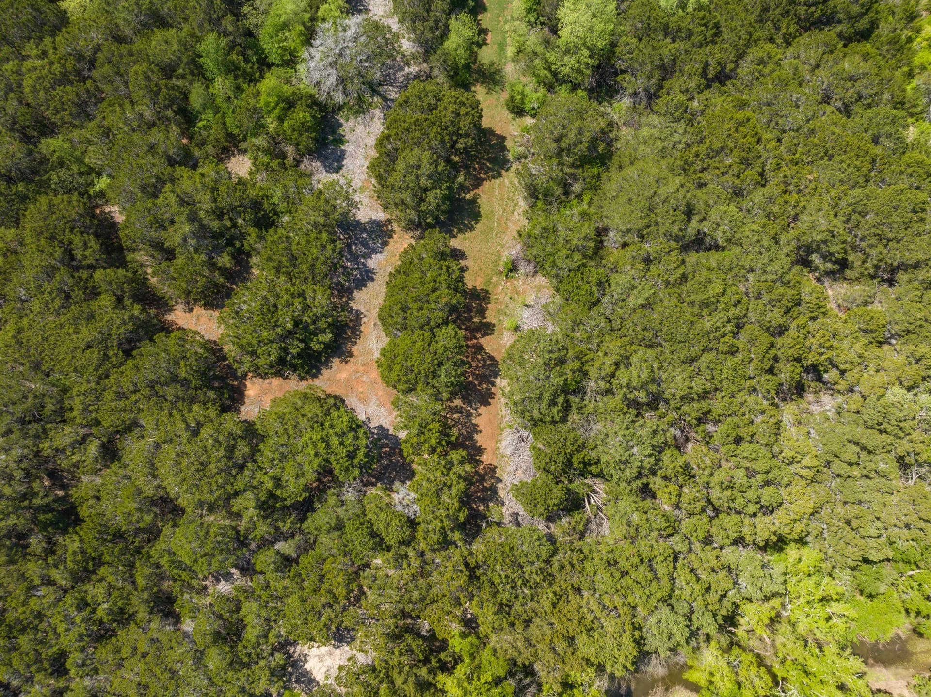18 acres in Hill County - photo 35