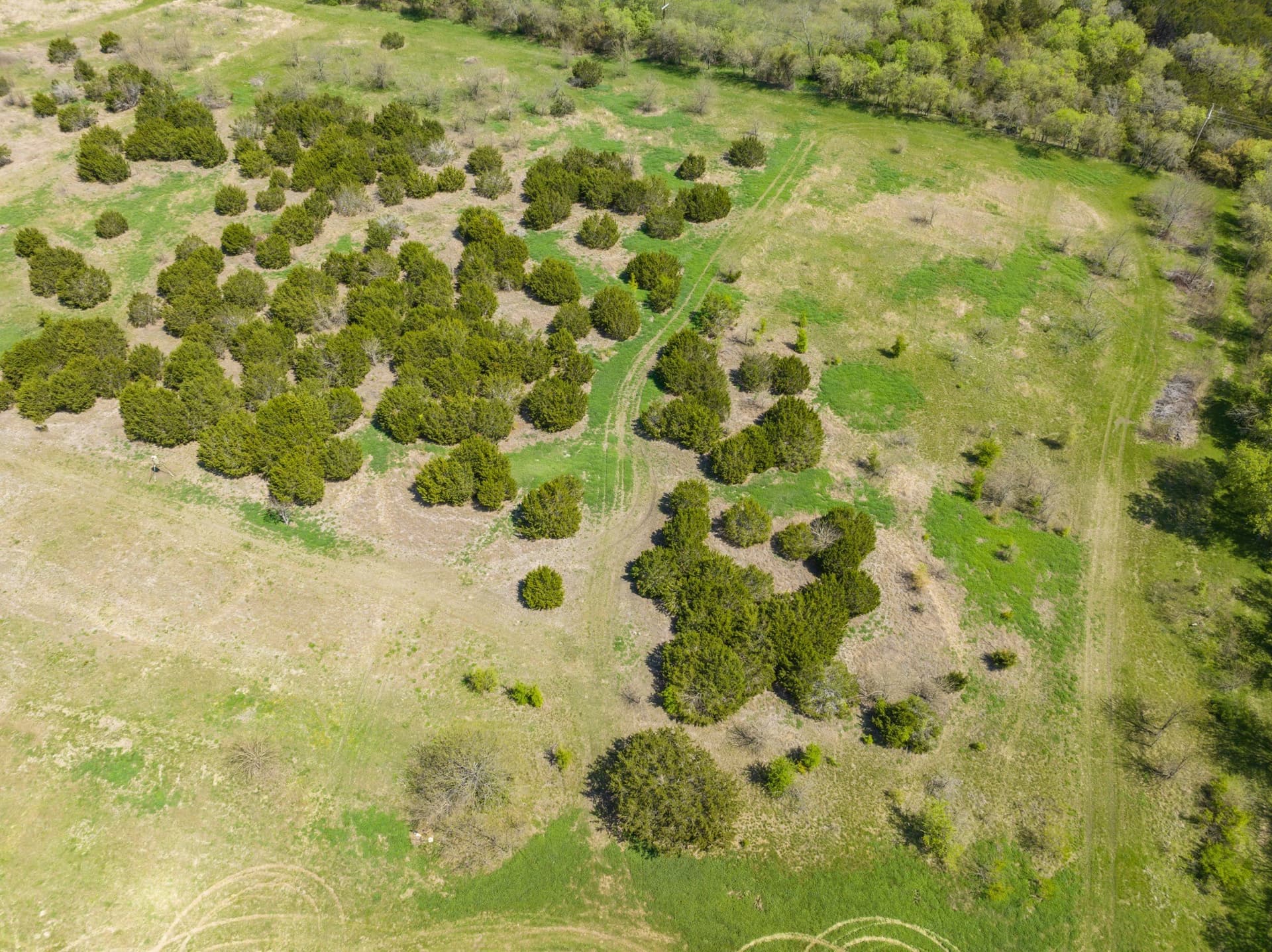 18 acres in Hill County - photo 15