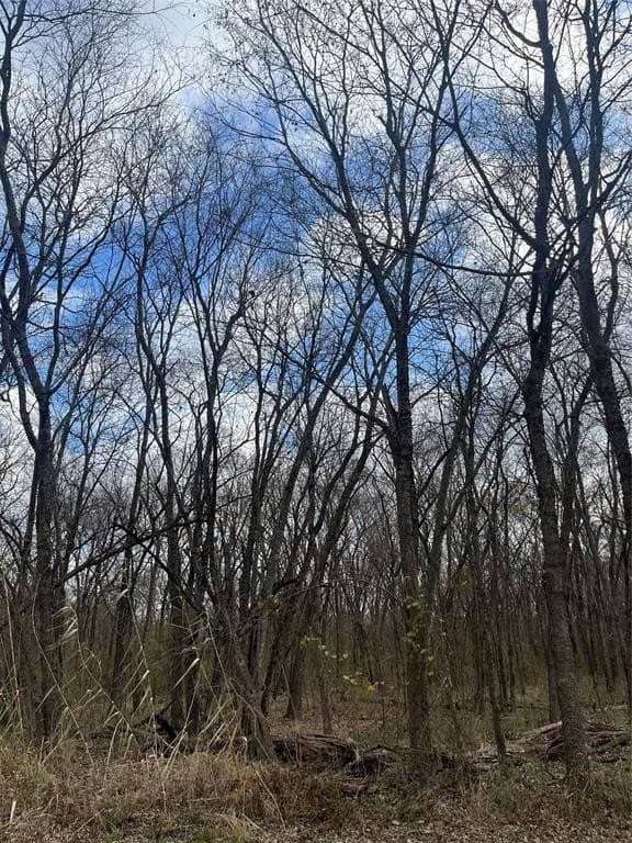 0.29 acres in Lamar County gallery image 3