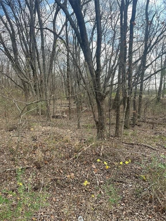 0.29 acres in Lamar County gallery image 2