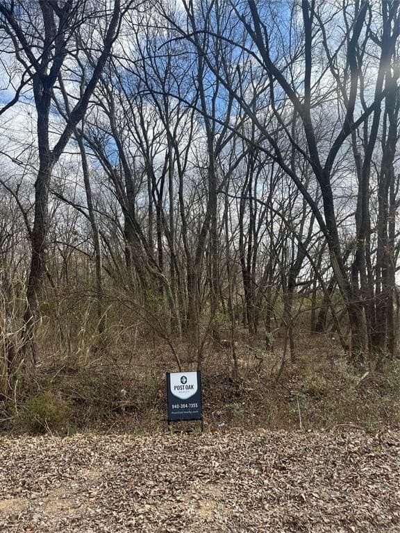 0.29 acres in Lamar County featured view