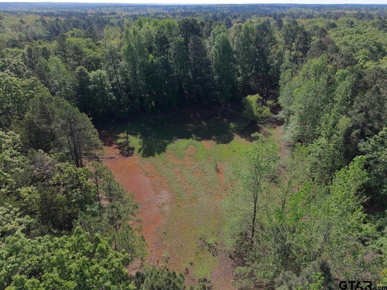 5.77 acres in Wood County - photo 33