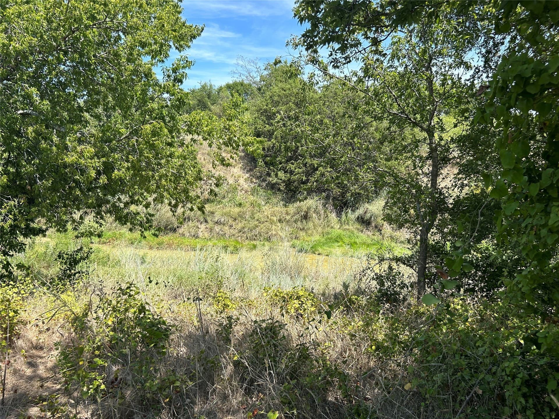 2.02 acres in Parker County - photo 17