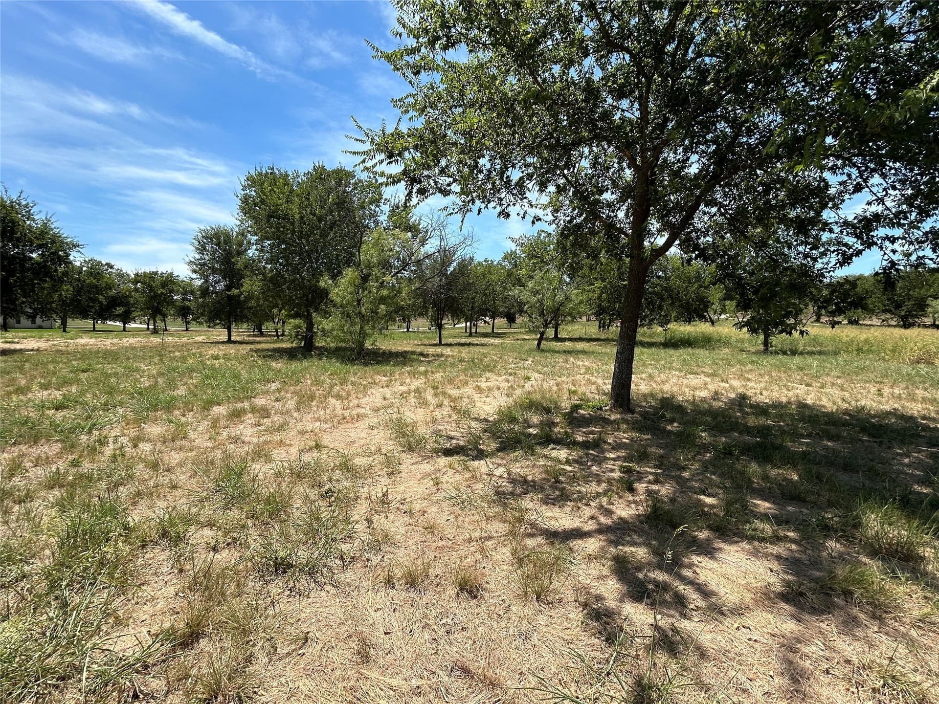 2.02 acres in Parker County - photo 11