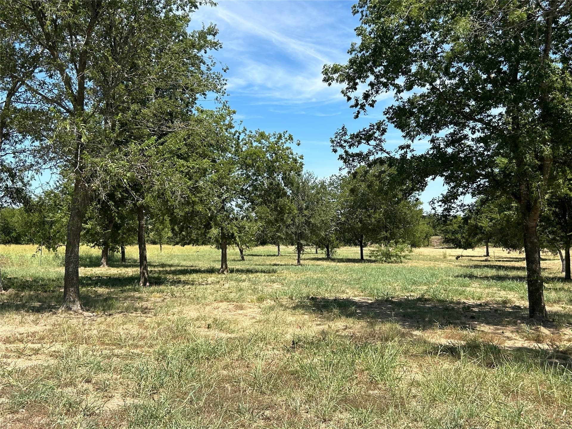 2.02 acres in Parker County - photo 6