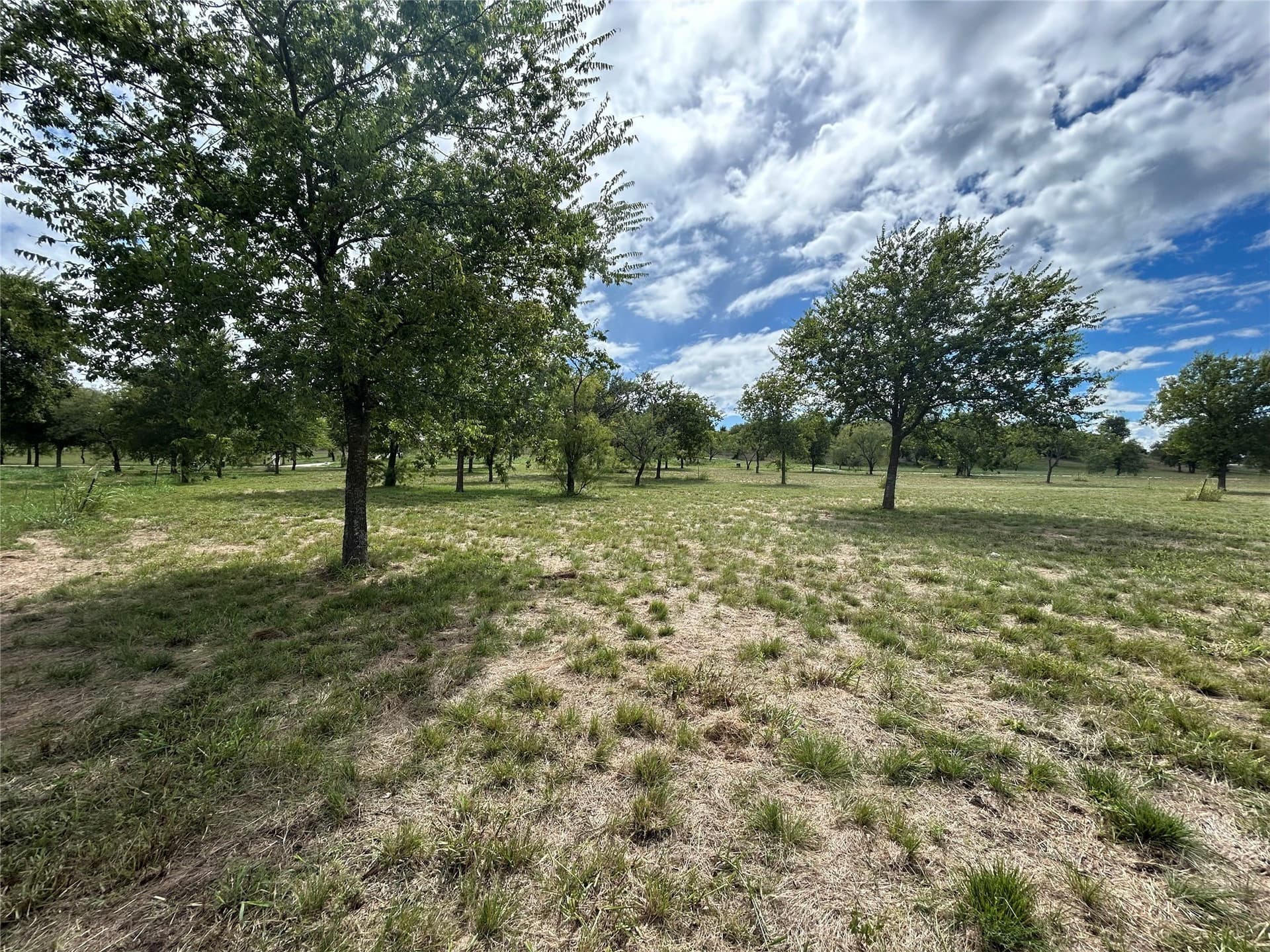 2.02 acres in Parker County - photo 7
