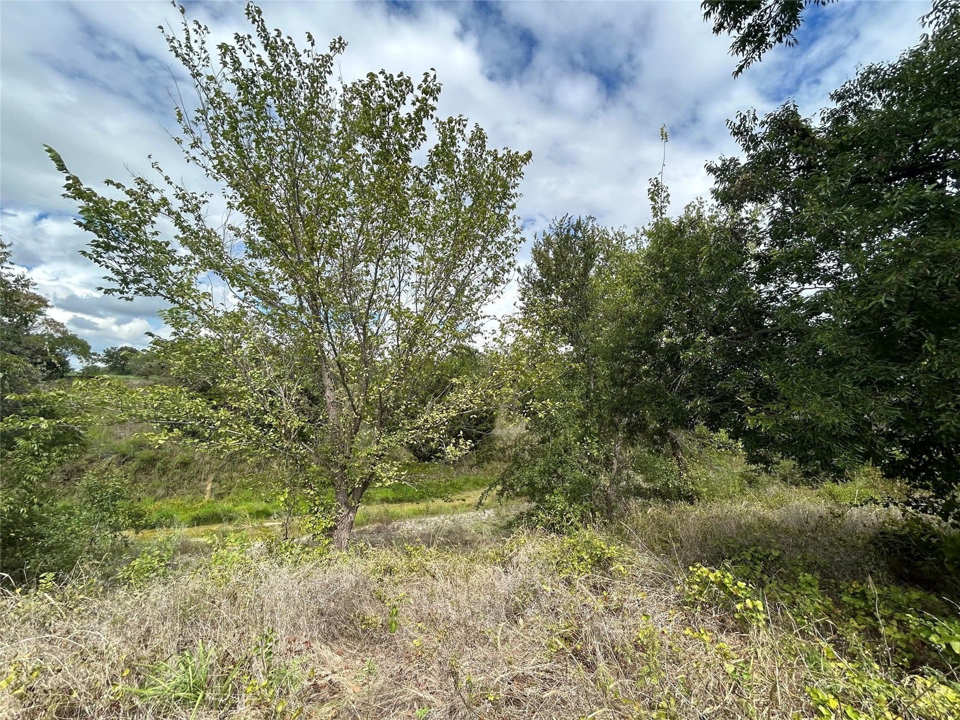 2.02 acres in Parker County - photo 20