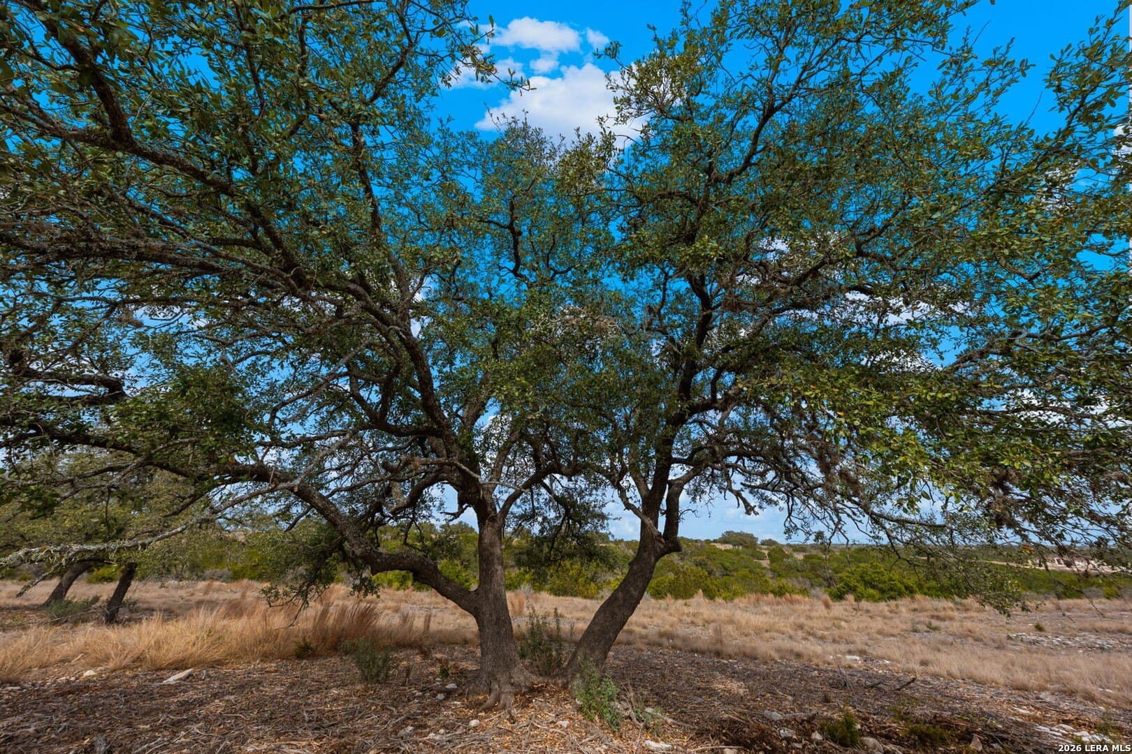 3.08 acres in Gillespie County - photo 8
