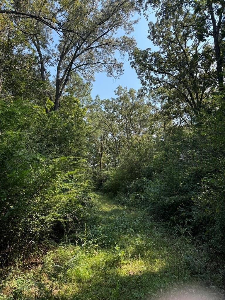 20.41 acres in Texas County - photo 11