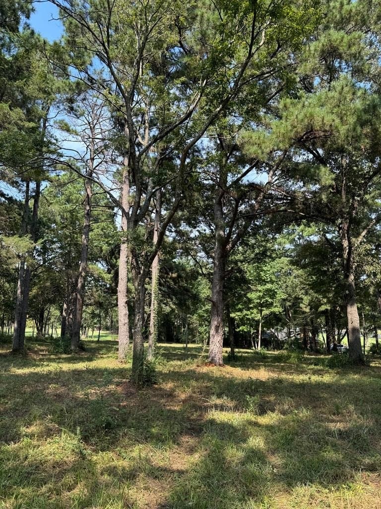 20.41 acres in Texas County gallery image 2